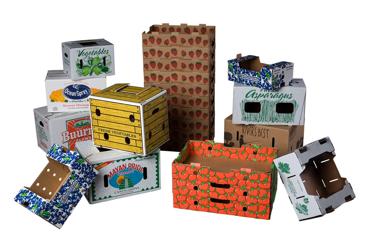 Assortment of Produce Packaging