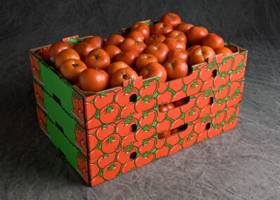 Stack of Tomato Trays