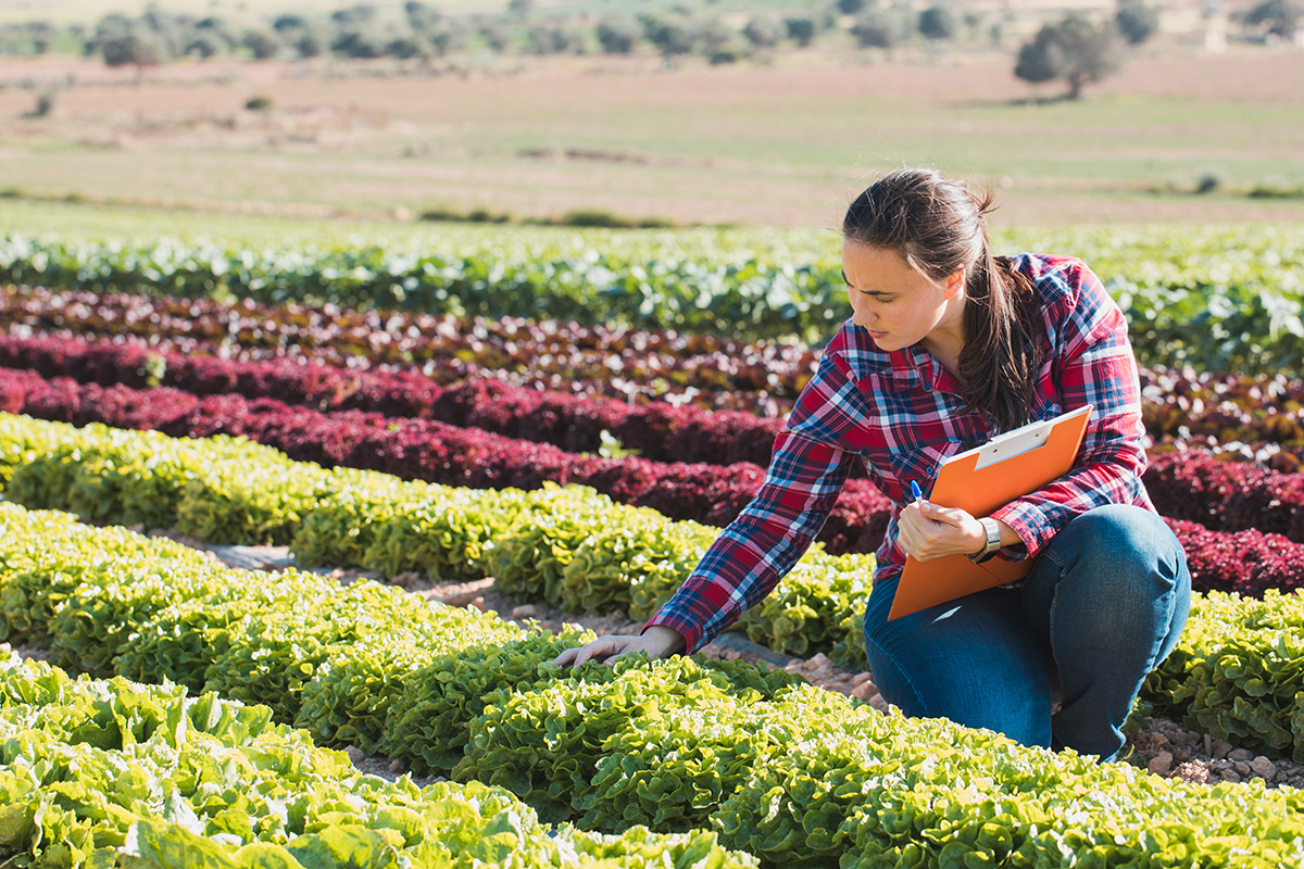 Woman in Produce Field