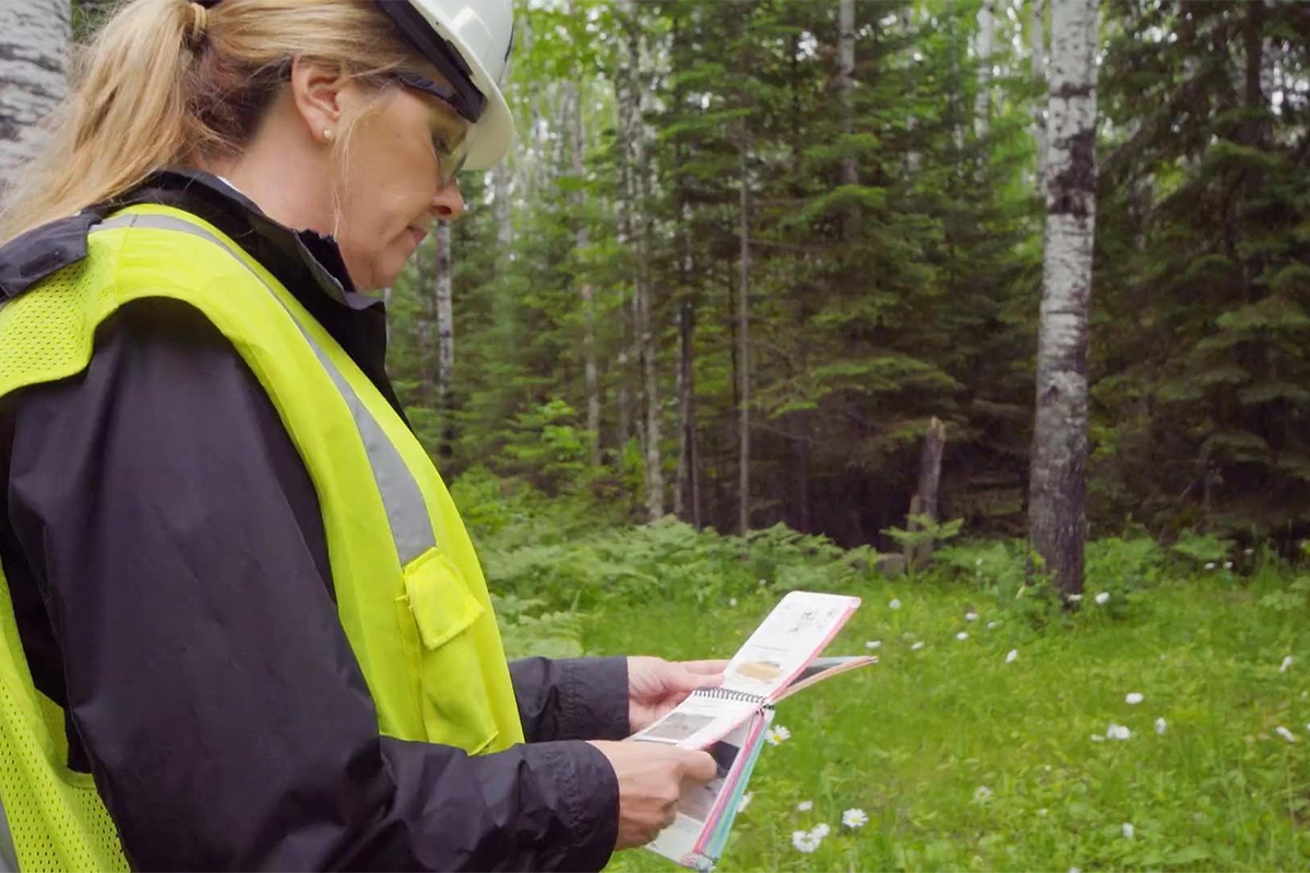 Female Forester in the Woods