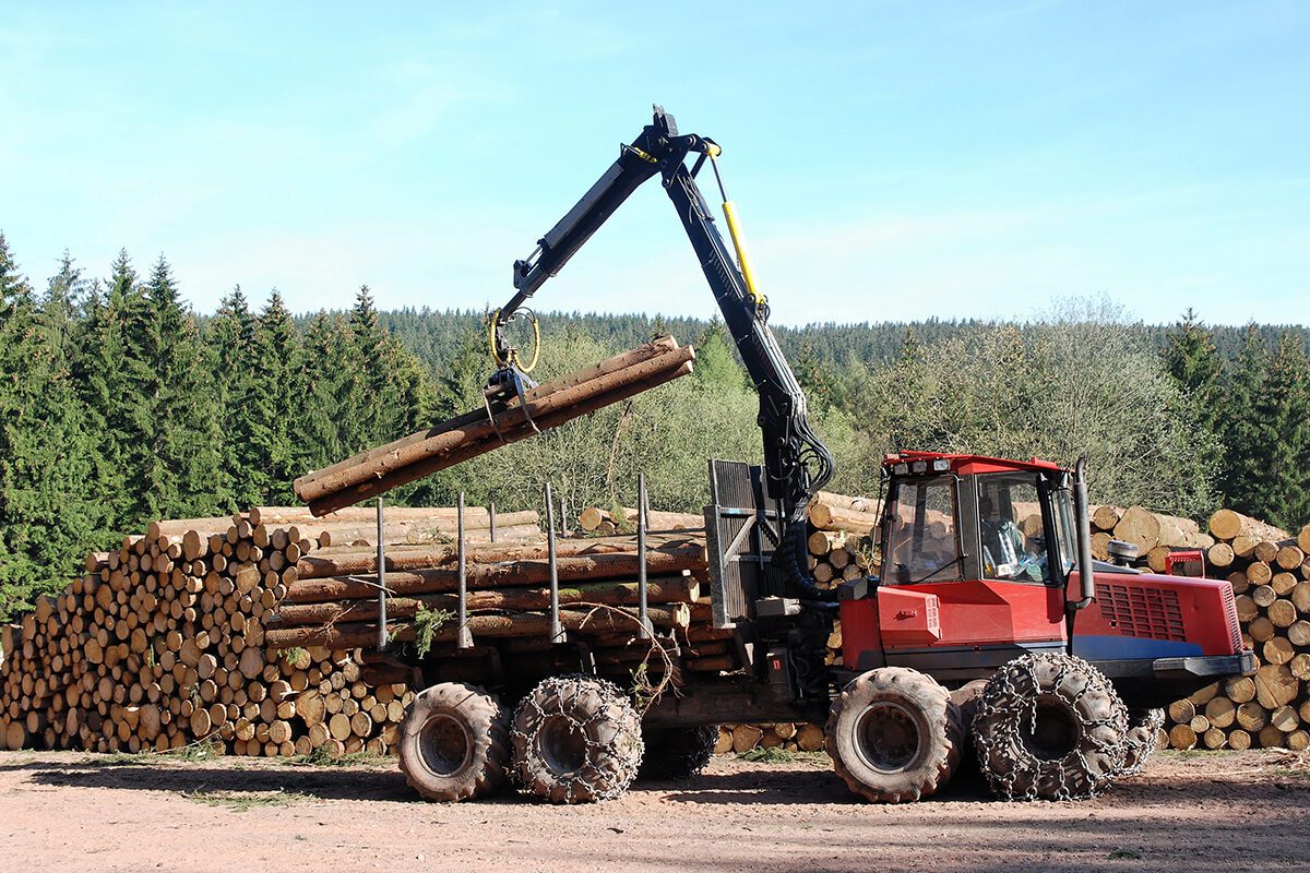 Stacking Logs