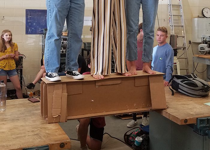 Bridge Strength Testing