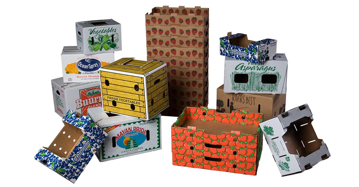 Fruit Stays Fresh Longer when packed in Corrugated Trays