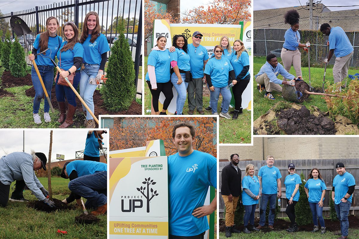 Collage of images from October 2023 ProjectUP tree planting in Chicago