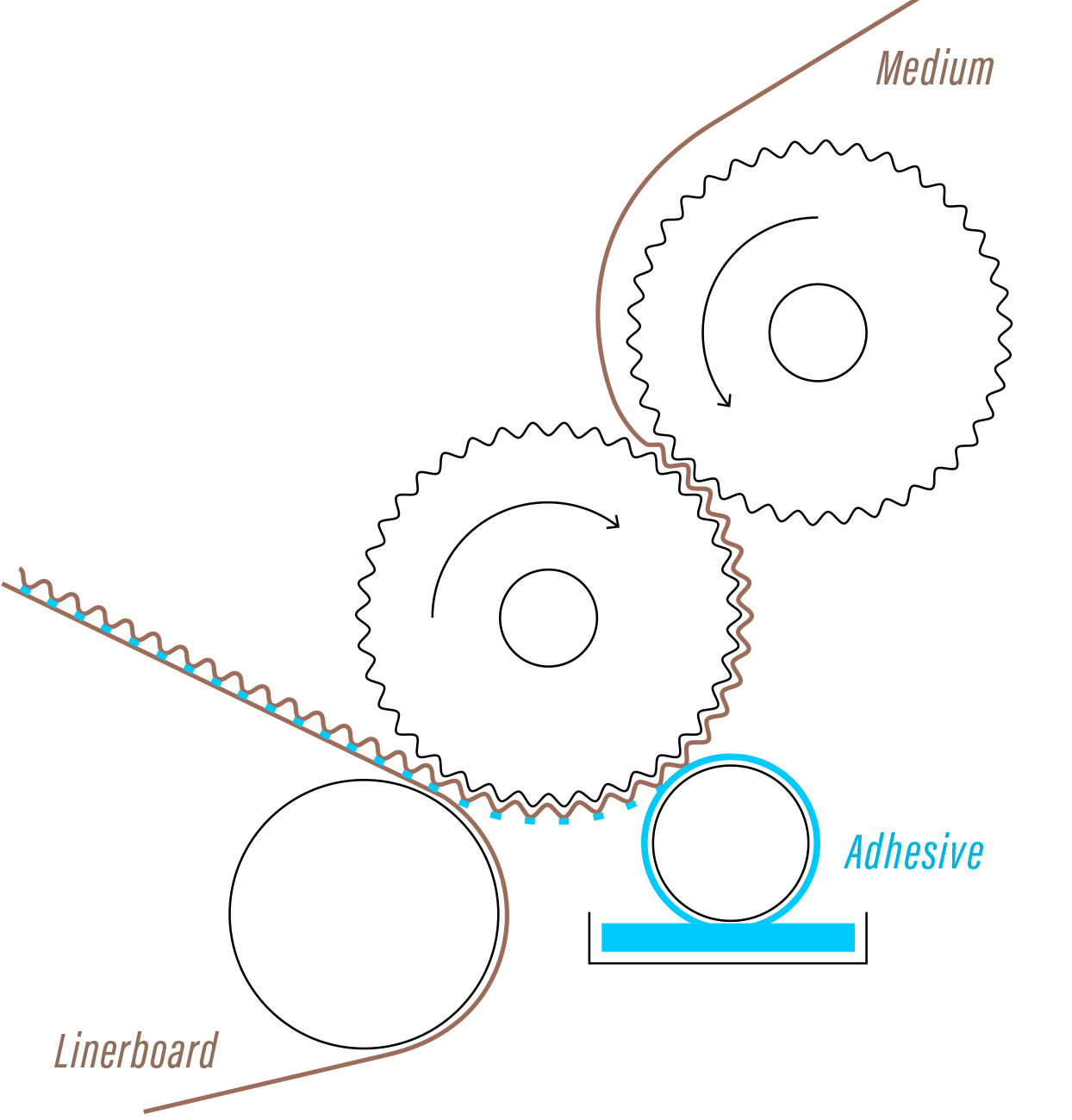 schematic of a corrugator using starch adhesive to combine containerboard into corrugated board