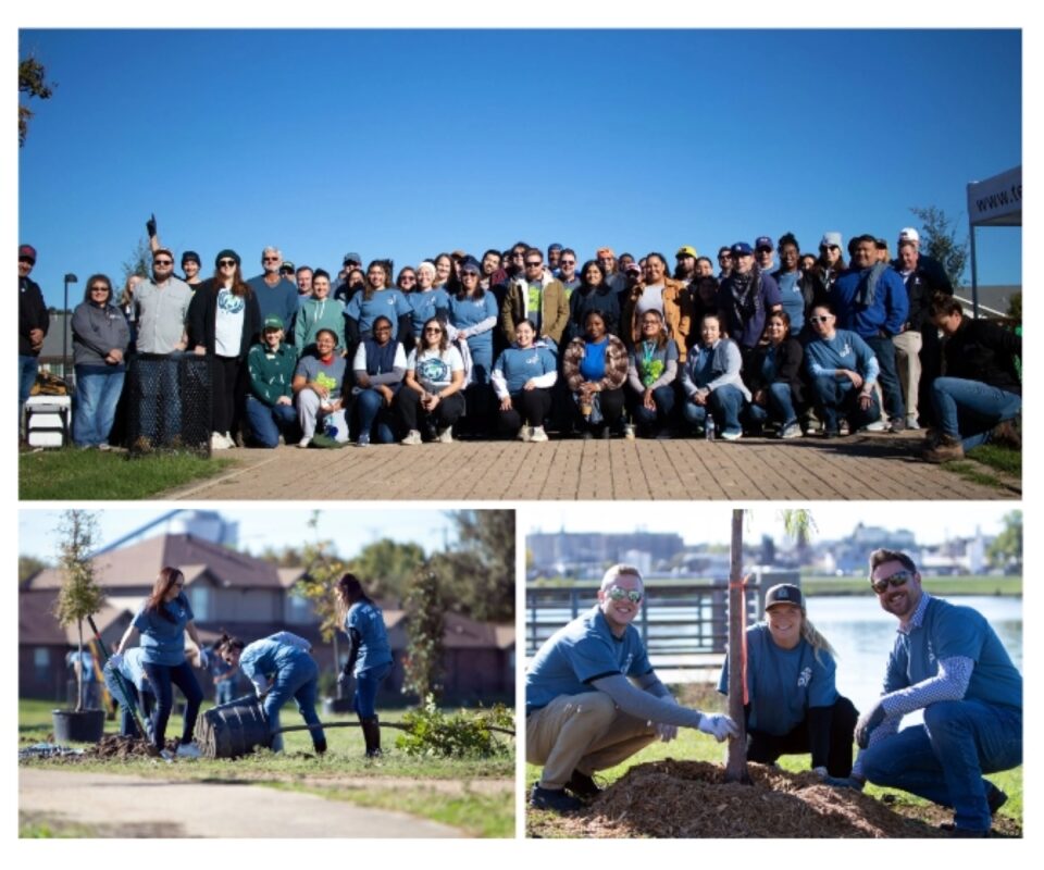 PCA employees plant trees in Dallas, TX