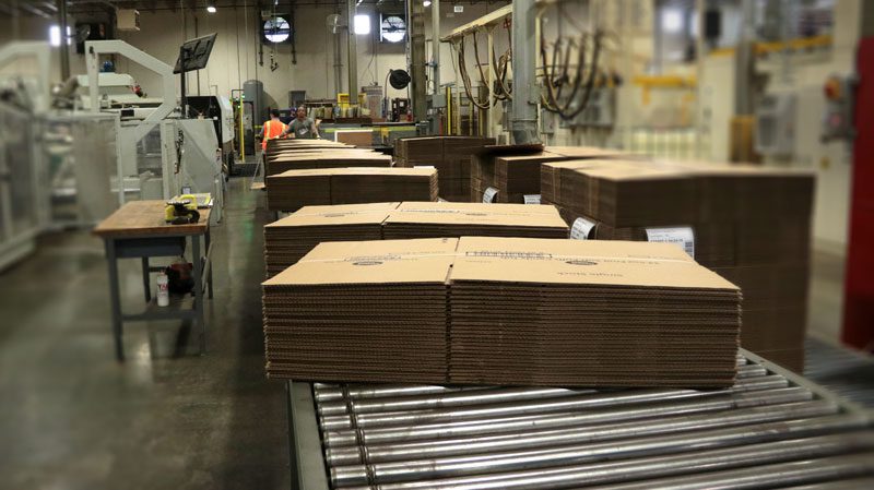 Flattened Boxes on a Conveyor in a Plant