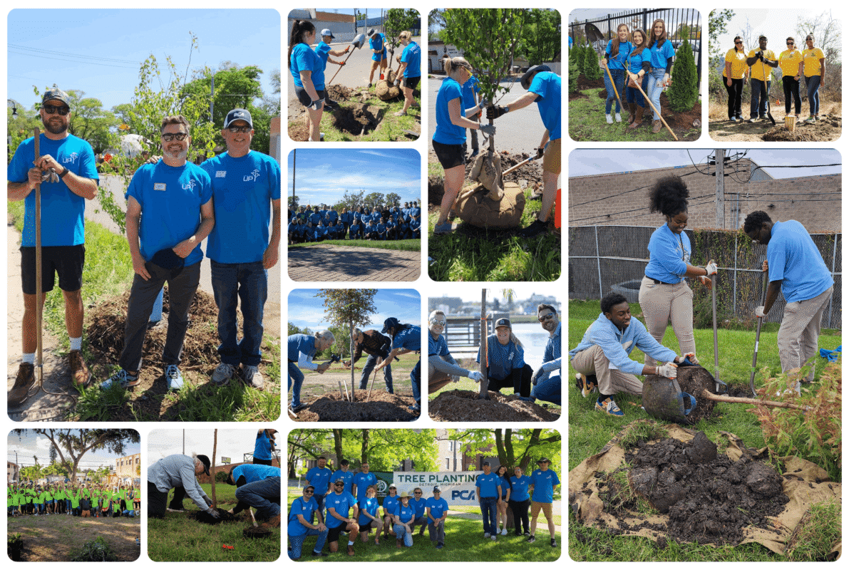 Project UP Tree Plantings Collage