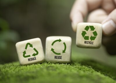 Reduce Reuse Recycle Dice