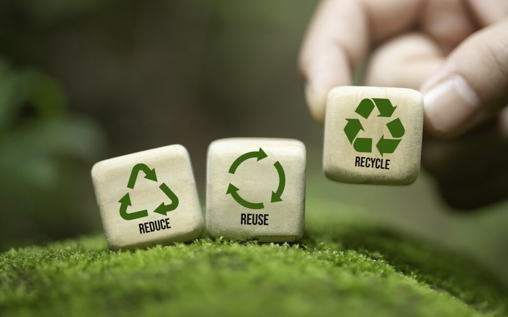 Reduce Reuse Recycle Dice